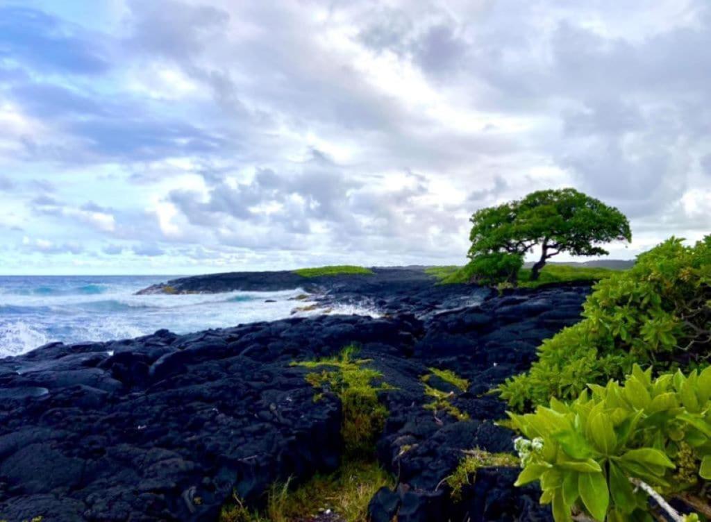 Charming 1 Bedroom Beach Condo Prime Location Great Value Pahala Exterior photo