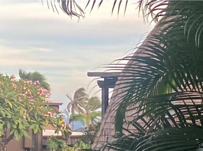 Charming 1 Bedroom Beach Condo Prime Location Great Value Pahala Exterior photo