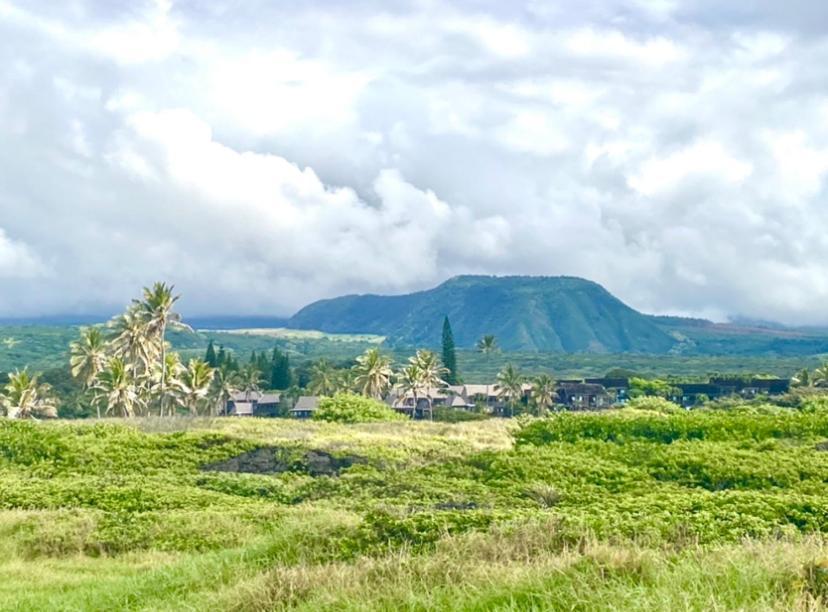 Charming 1 Bedroom Beach Condo Prime Location Great Value Pahala Exterior photo
